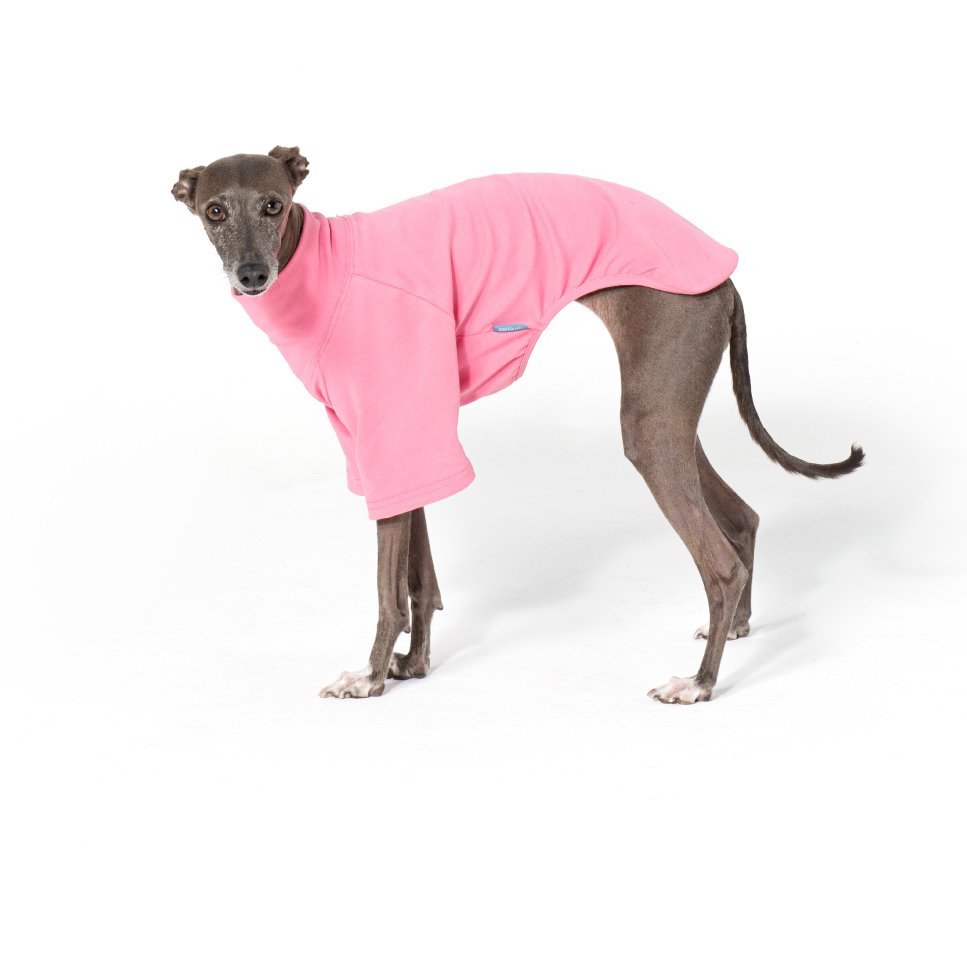 Casual Cotton Comfortable T Shirt for Italian Greyhounds - PIKAPIKA