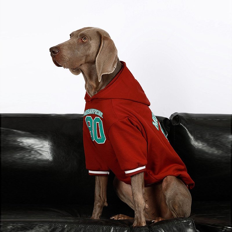 Casual Hoodie Big Dog Clothes - PIKAPIKA