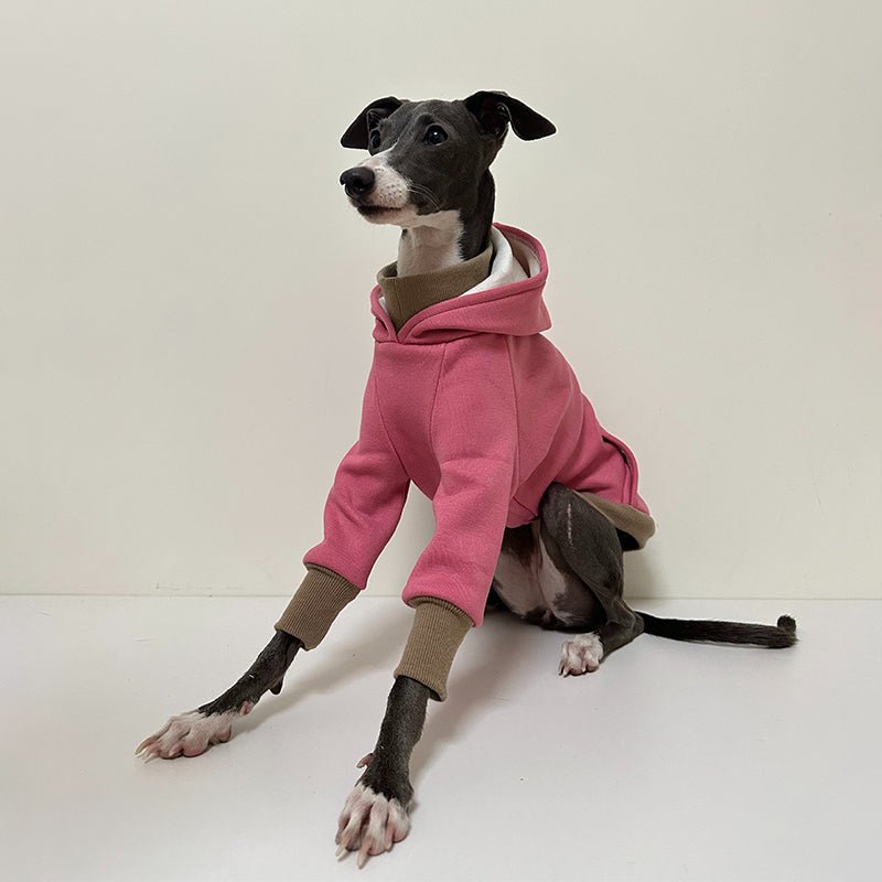 Casual Hoodie for Italian Greyhound Whippet - PIKAPIKA