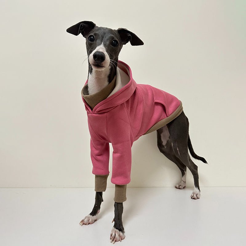 Casual Hoodie for Italian Greyhound Whippet - PIKAPIKA