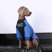 Casual Shirts Big Dog Clothes - PIKAPIKA