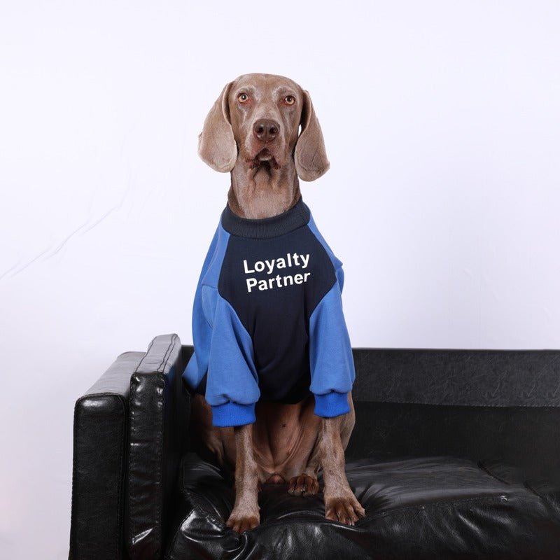 Casual Shirts Big Dog Clothes - PIKAPIKA