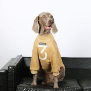 Casual Shirts Big Dog Clothes - PIKAPIKA