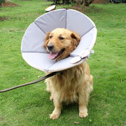 Cat Recovery Collar Dog Recovery Cone Anti - Bite Anti - Lick Protective - PIKAPIKA