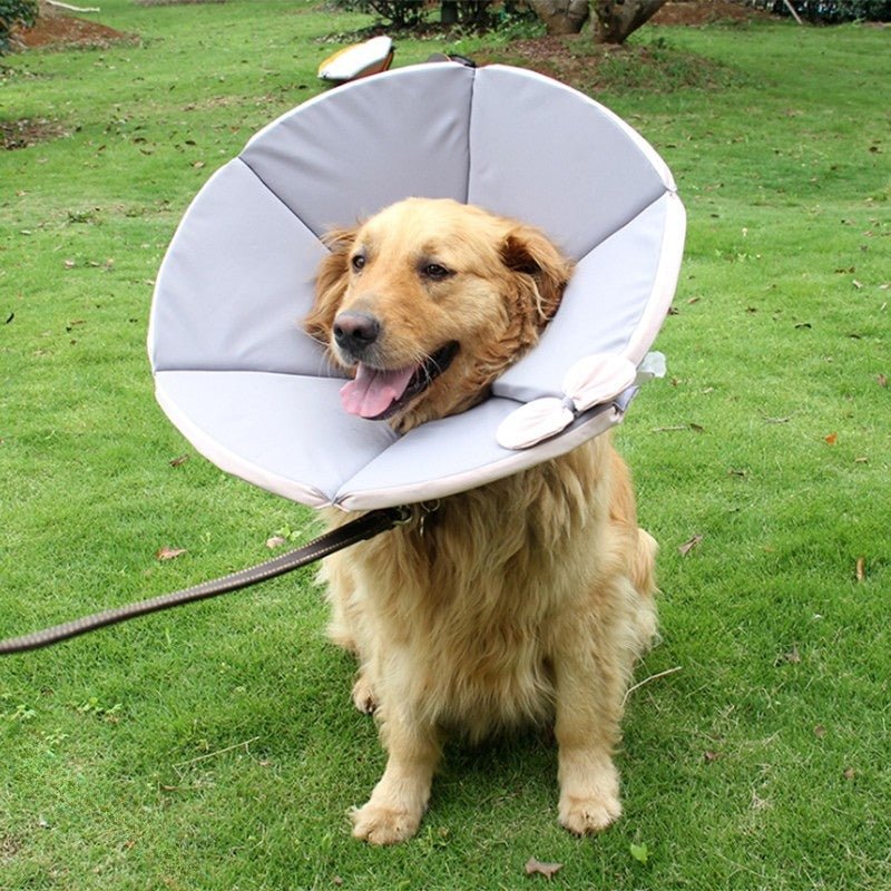 Cat Recovery Collar Dog Recovery Cone Anti - Bite Anti - Lick Protective - PIKAPIKA