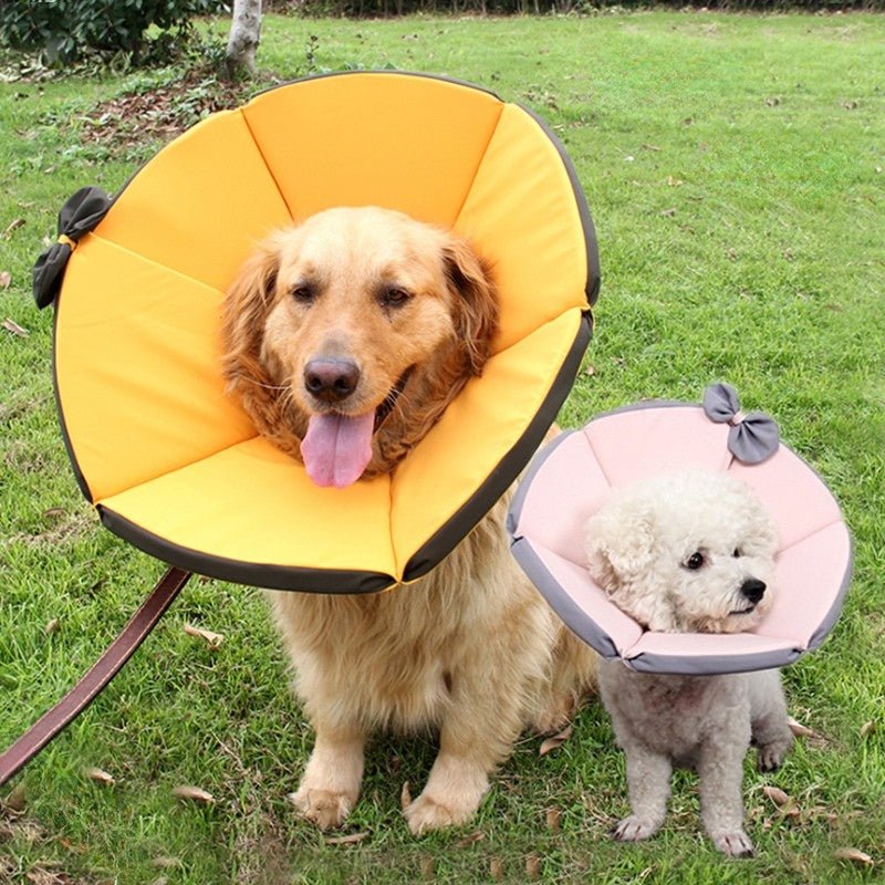 Cat Recovery Collar Dog Recovery Cone Anti - Bite Anti - Lick Protective - PIKAPIKA