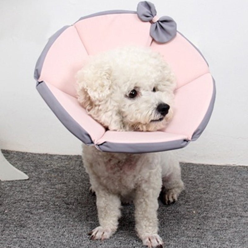 Cat Recovery Collar Dog Recovery Cone Anti - Bite Anti - Lick Protective - PIKAPIKA
