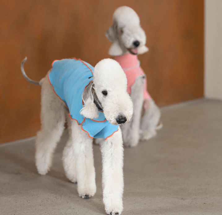 Color Block Dog Vest - Plush Thermal Wear