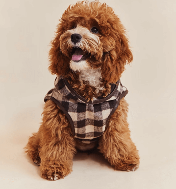 Tweed Dog Cloak - Brown Check Cape for Dogs