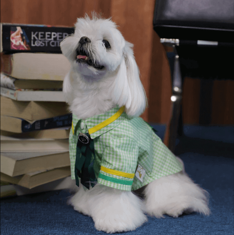 BELO Green Plaid Dog Shirt – Trendy Check Pet Tee