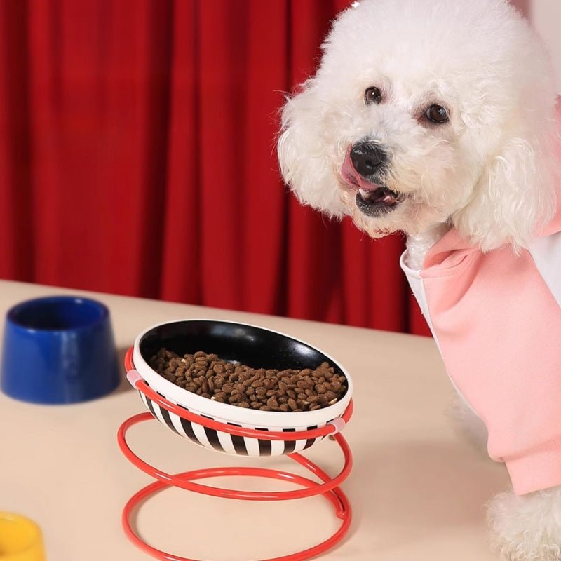 Ceramic Dog Food Water Bowl With Holder Neck - Friendly - PIKAPIKA