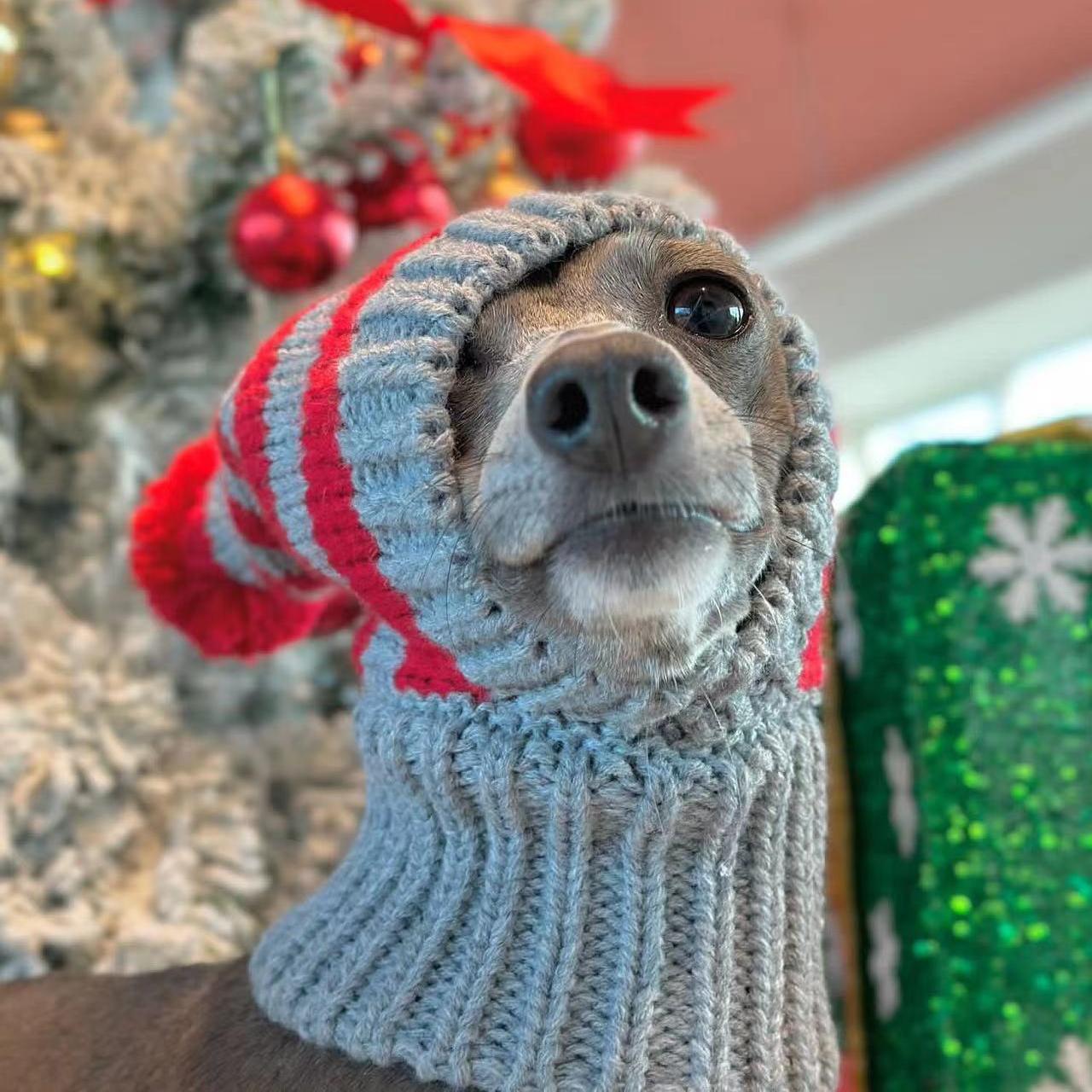 Chistmas Festival Knit Hat Warm Dog & Cat Accessory - PIKAPIKA