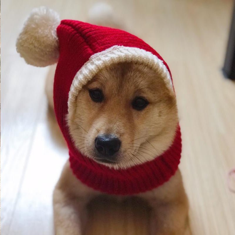 Chistmas Festival Pom Beanie Dog & Cat Knit Hat - PIKAPIKA