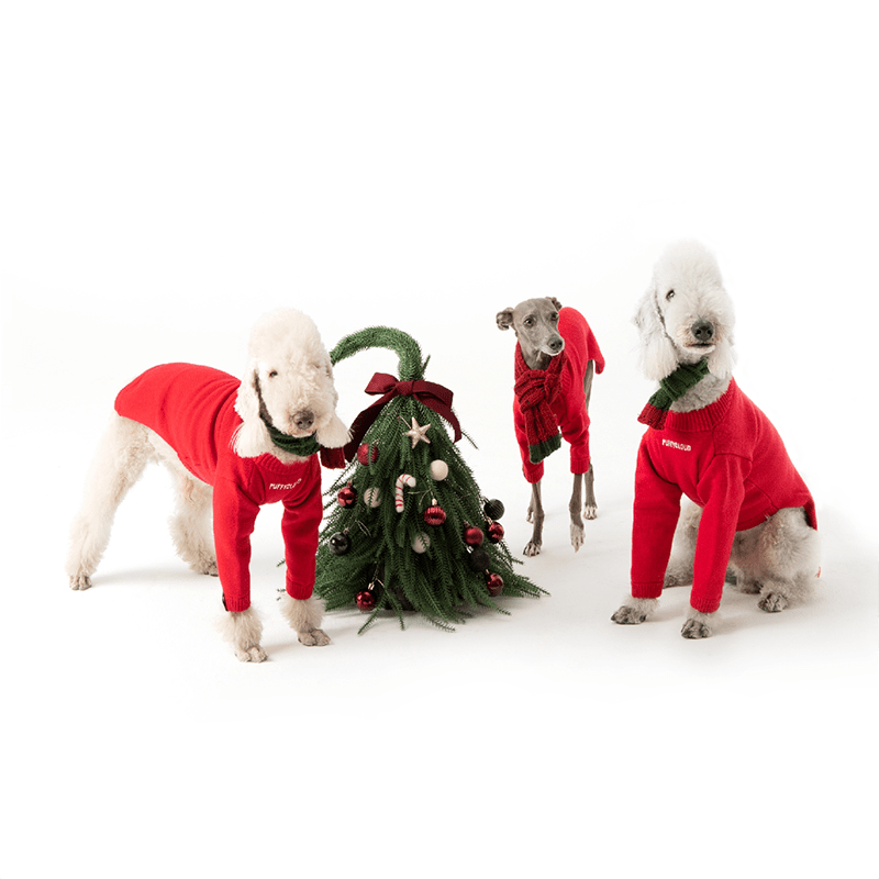 Chrismas Sweater Dog Clothes for Bedlington - PIKAPIKA