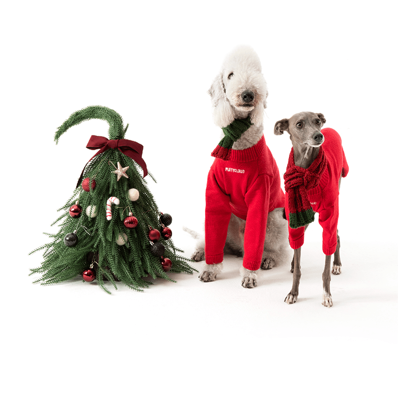 Chrismas Sweater Dog Clothes for Italian Greyhound - PIKAPIKA