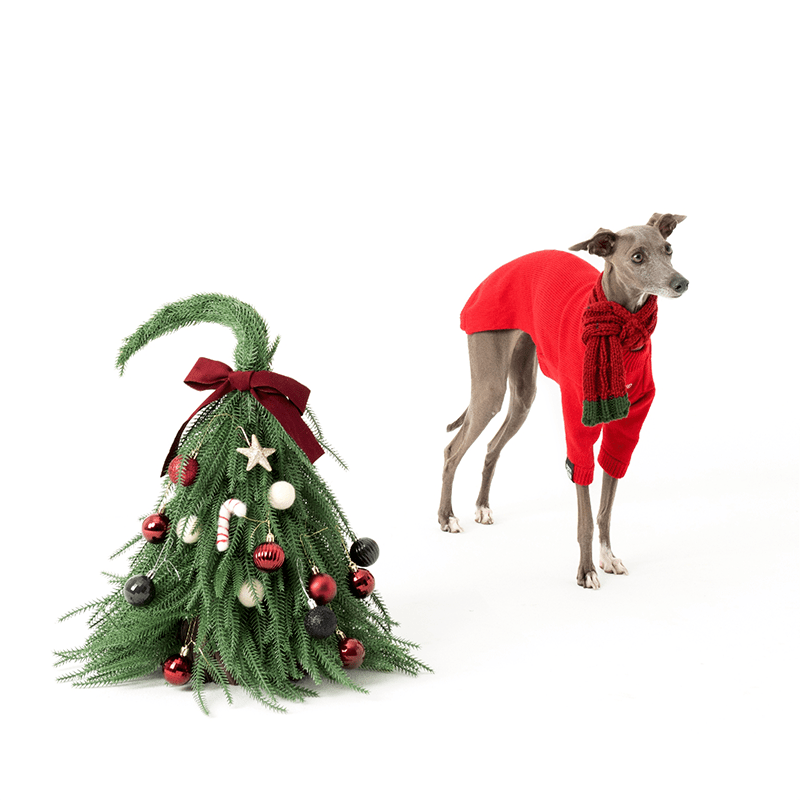 Chrismas Sweater Dog Clothes for Italian Greyhound - PIKAPIKA