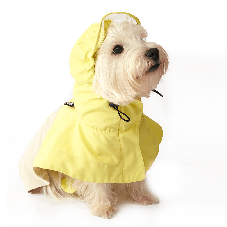 Colorblock Lightweight Hooded Raincoat Waterproof Cape for Dogs - PIKAPIKA