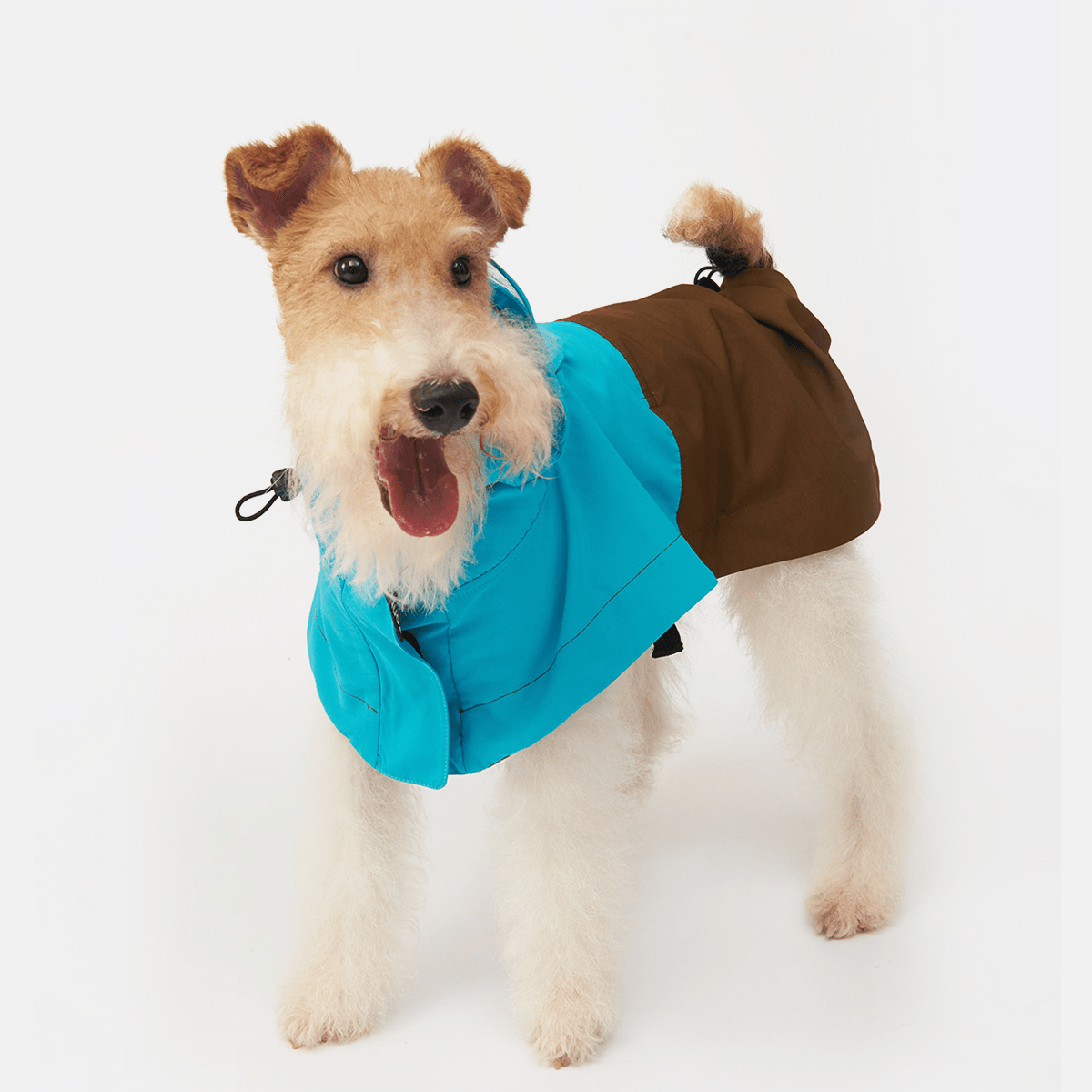 Colorblock Lightweight Hooded Raincoat Waterproof Cape for Dogs - PIKAPIKA