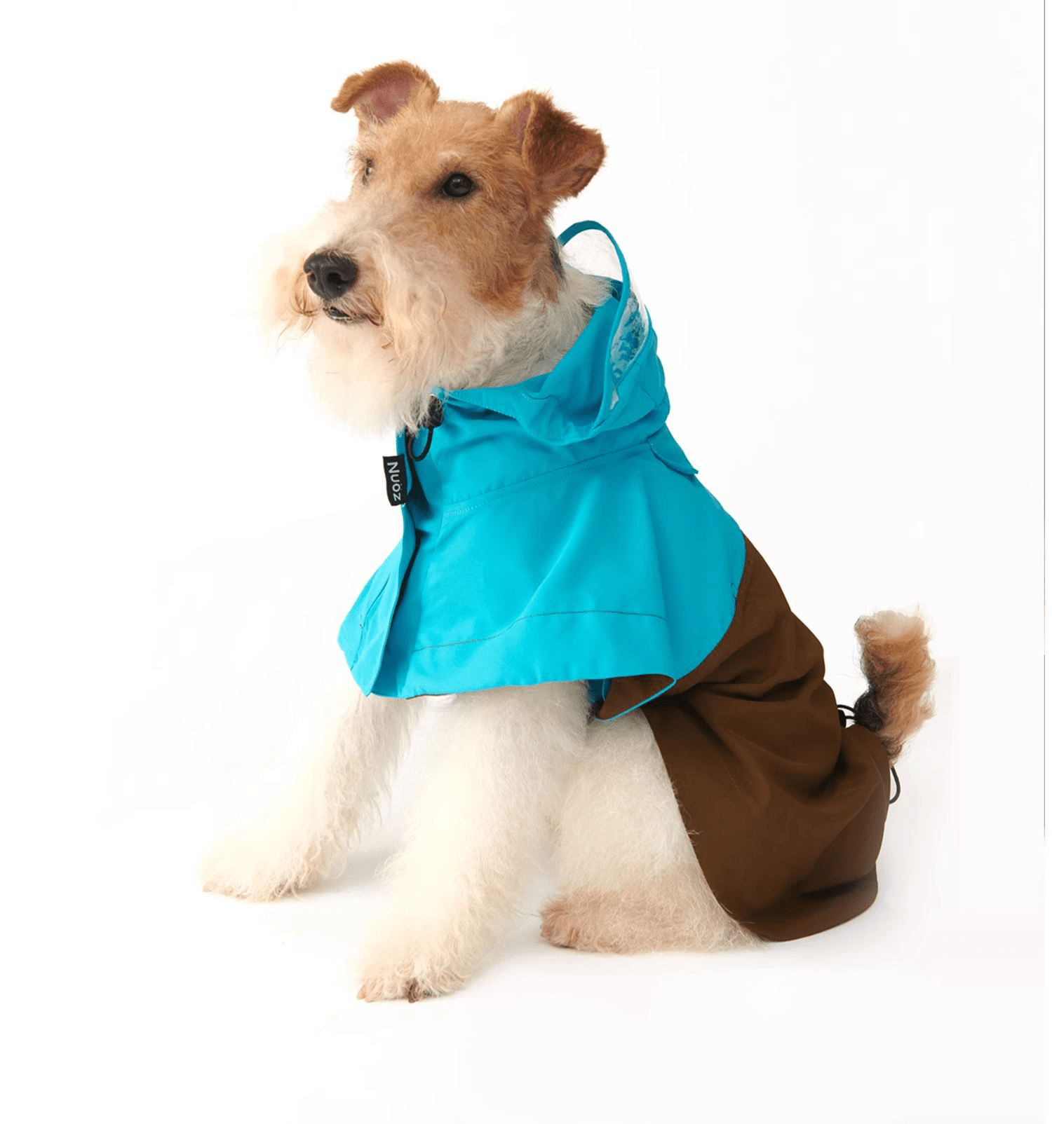 Colorblock Lightweight Hooded Raincoat Waterproof Cape for Dogs - PIKAPIKA