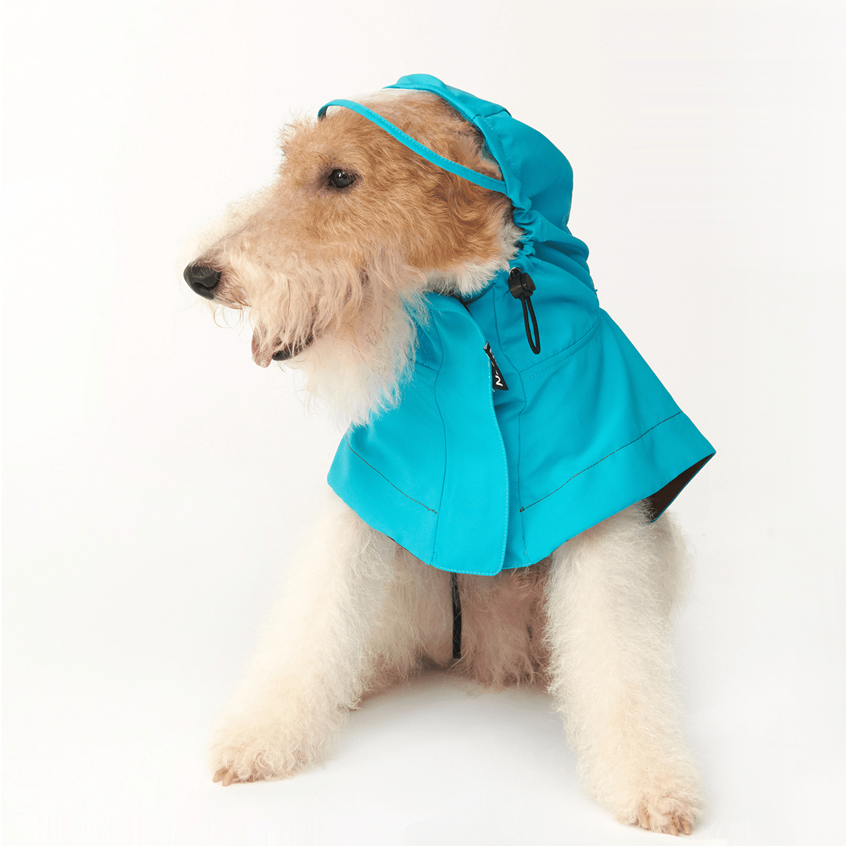 Colorblock Lightweight Hooded Raincoat Waterproof Cape for Dogs - PIKAPIKA