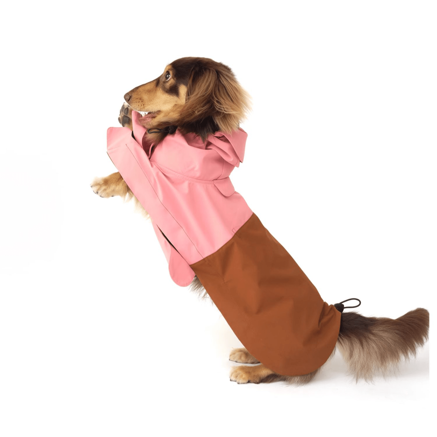 Colorblock Velcro closure Raincoat Windproof Cape for Dogs - PIKAPIKA