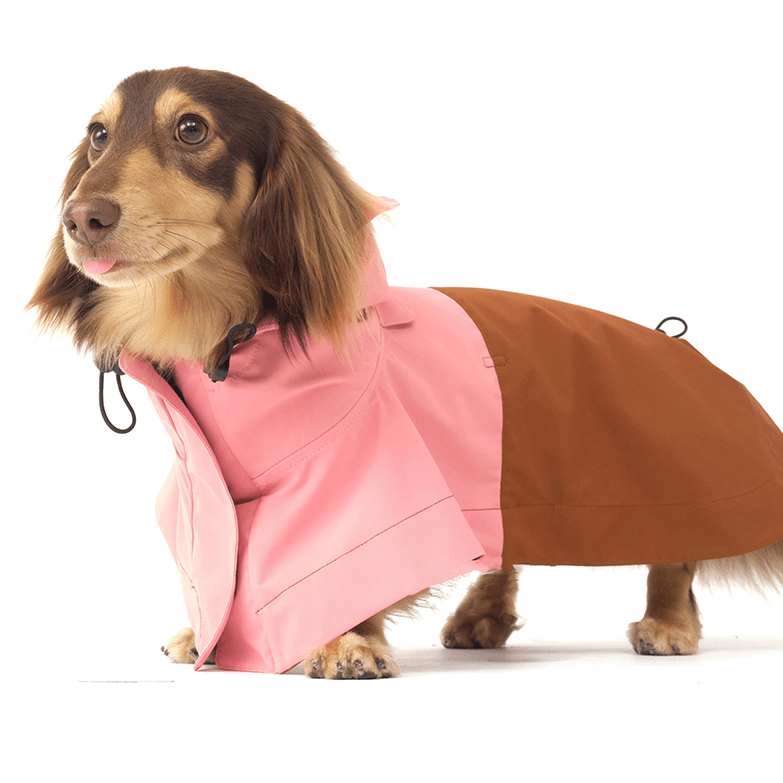 Colorblock Velcro closure Raincoat Windproof Cape for Dogs - PIKAPIKA