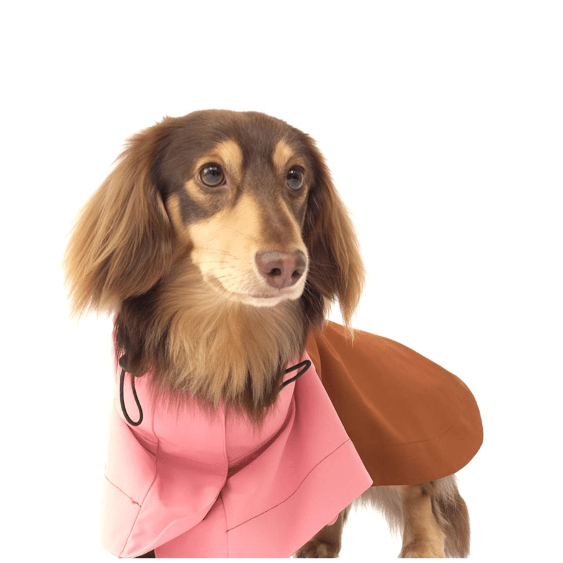 Colorblock Velcro closure Raincoat Windproof Cape for Dogs - PIKAPIKA