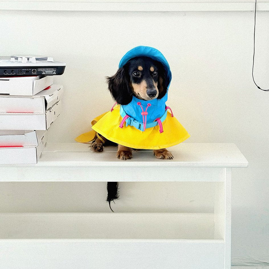 Colorblock Waterproof Raincoat for Dachshunds – Adjustable Outdoor Jacket - PIKAPIKA