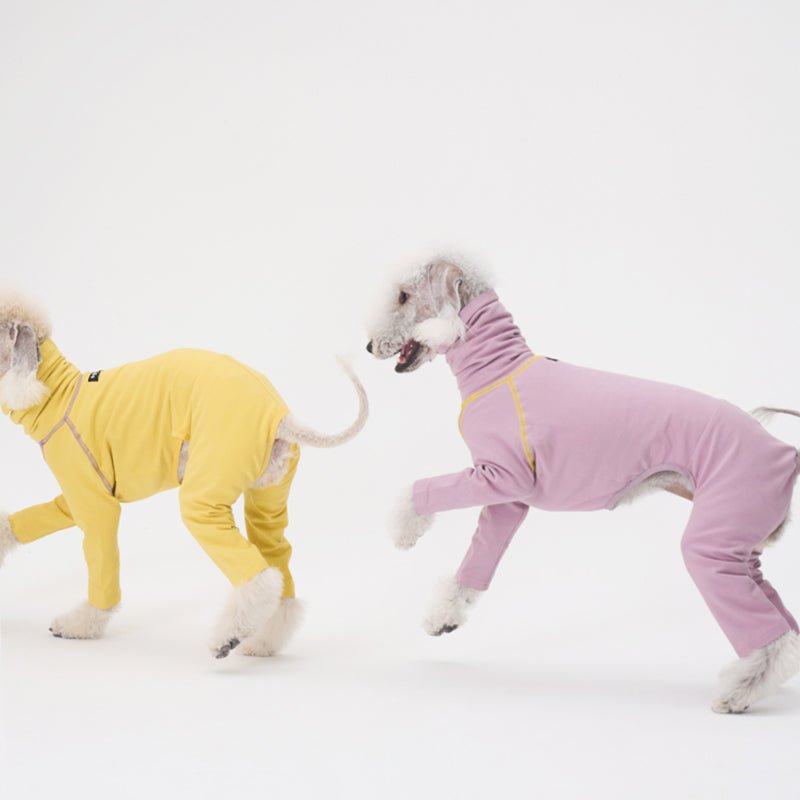 Colorful Onesie Bedlington Dog Clothes - PIKAPIKA