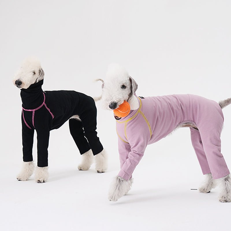 Colorful Onesie Bedlington Dog Clothes - PIKAPIKA