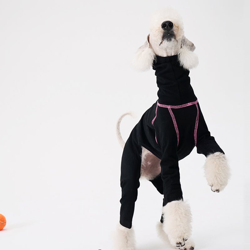 Colorful Onesie Bedlington Dog Clothes - PIKAPIKA