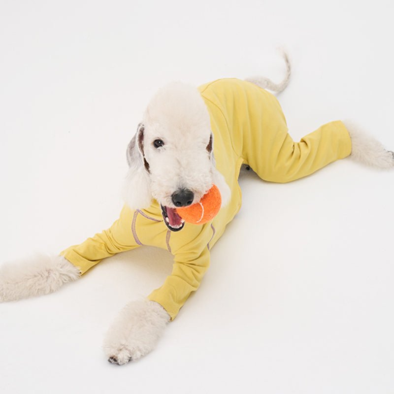 Colorful Onesie Bedlington Dog Clothes - PIKAPIKA