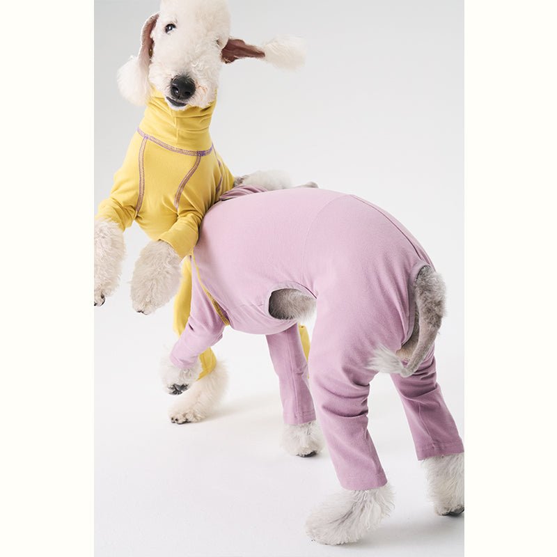 Colorful Onesie Bedlington Dog Clothes - PIKAPIKA