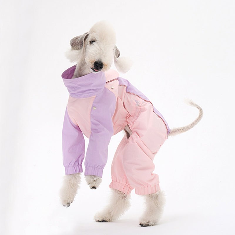 Colorful Raincoat Bedlington Dog Clothes - PIKAPIKA