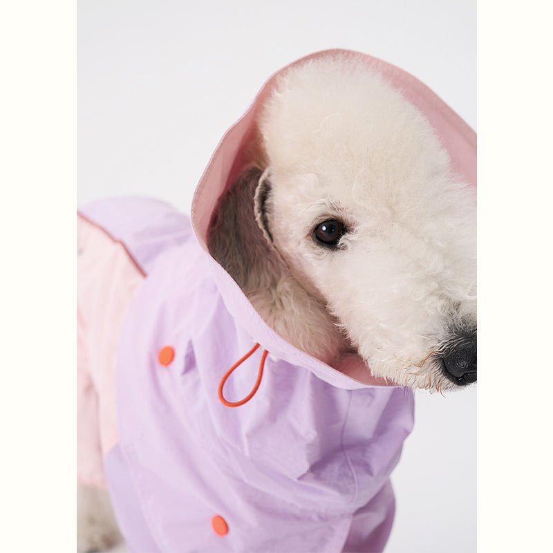 Colorful Raincoat Bedlington Dog Clothes - PIKAPIKA