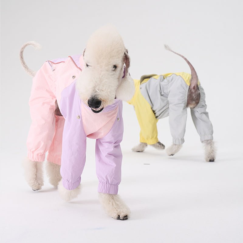 Colorful Raincoat Bedlington Dog Clothes - PIKAPIKA