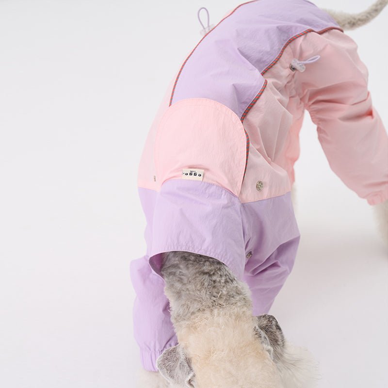 Colorful Raincoat Bedlington Dog Clothes - PIKAPIKA