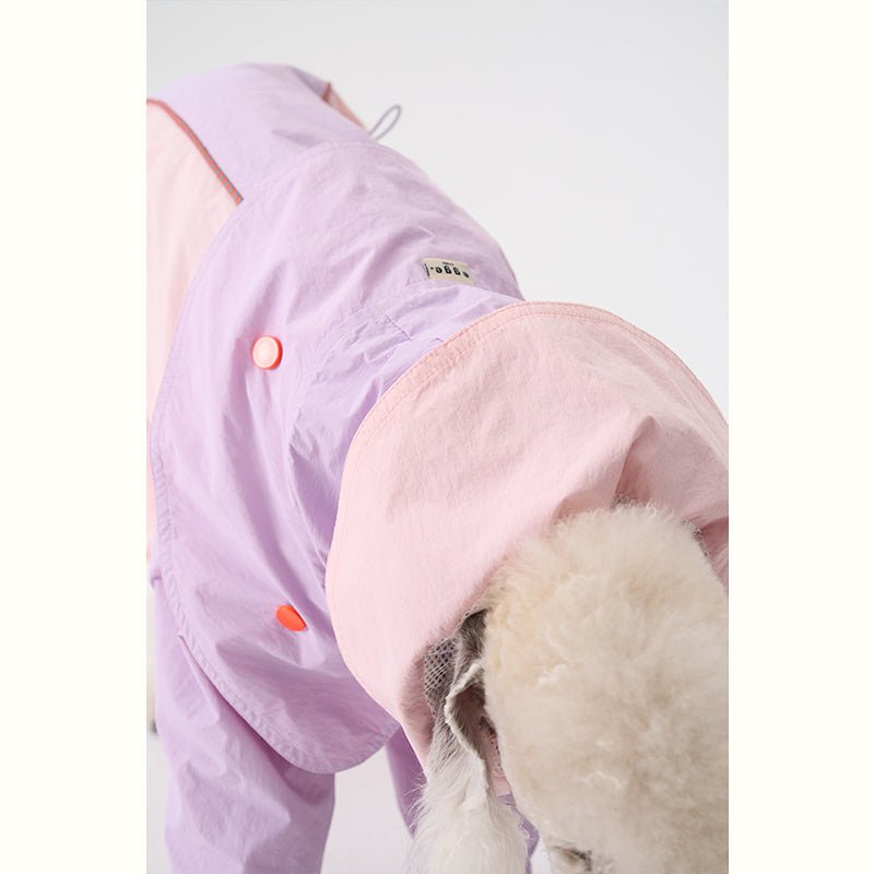 Colorful Raincoat Bedlington Dog Clothes - PIKAPIKA