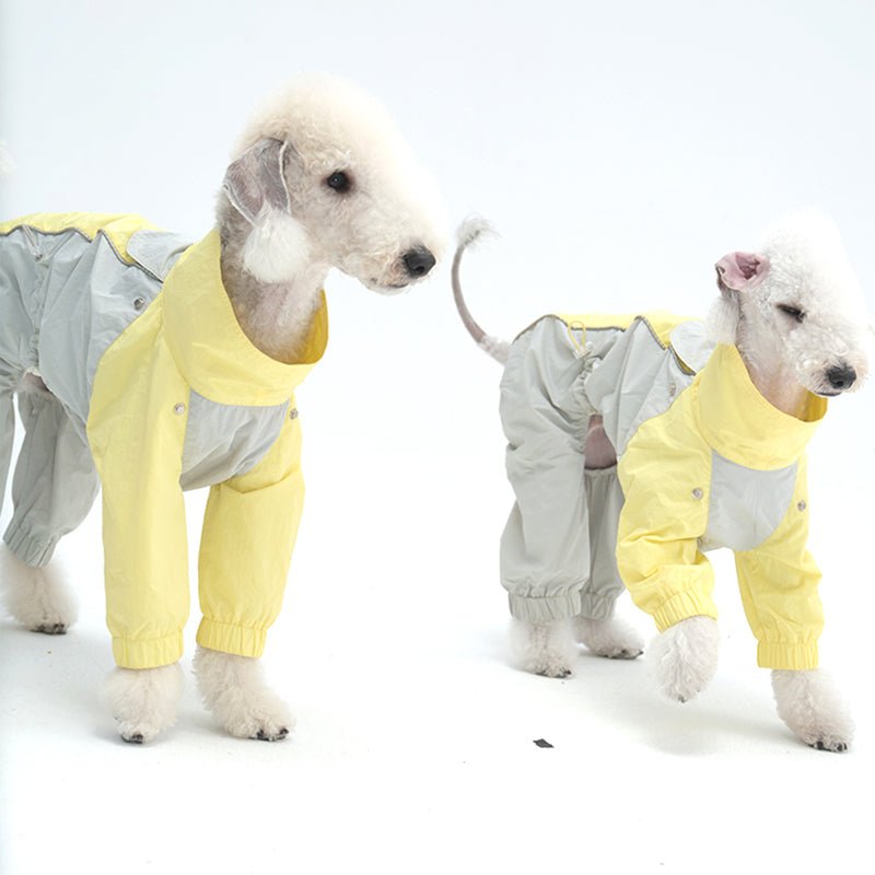 Colorful Raincoat Bedlington Dog Clothes - PIKAPIKA