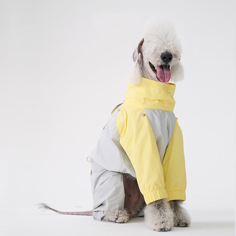Colorful Raincoat Bedlington Dog Clothes - PIKAPIKA