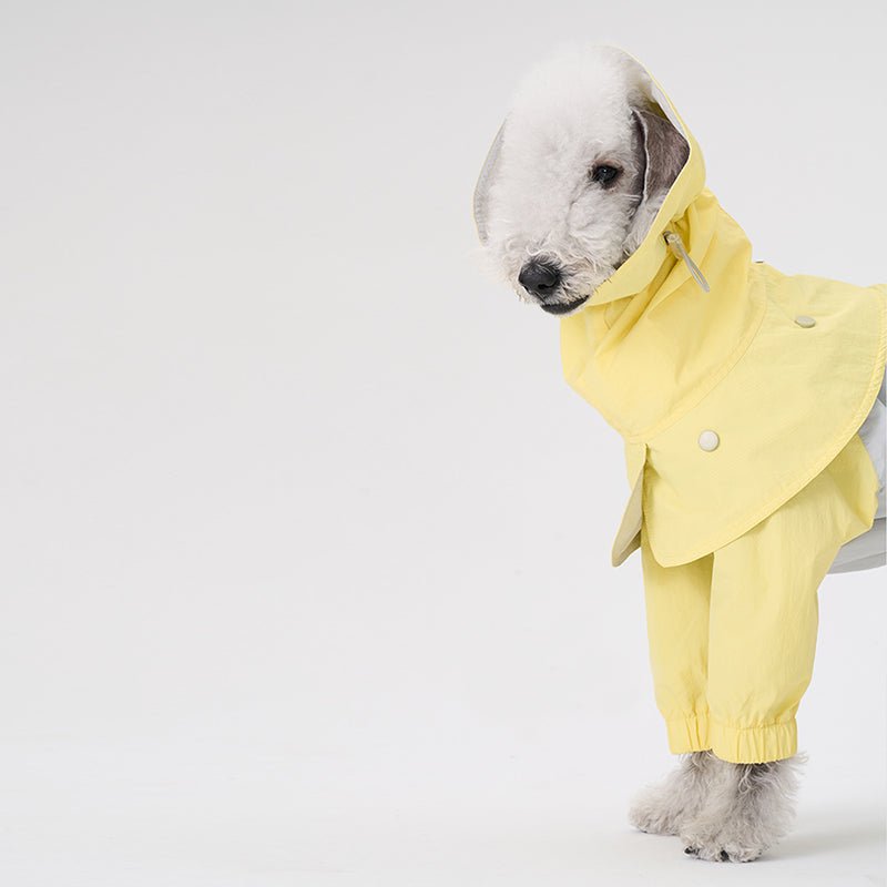Colorful Raincoat Bedlington Dog Clothes - PIKAPIKA