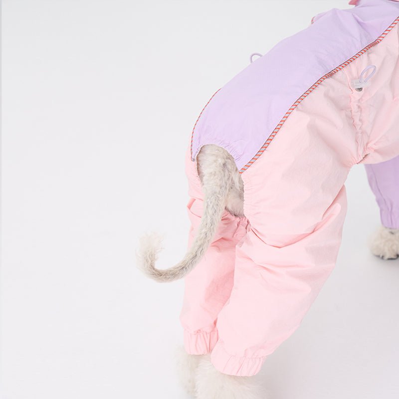 Colorful Raincoat Bedlington Dog Clothes - PIKAPIKA
