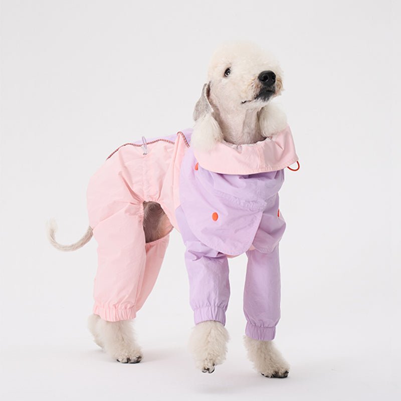 Colorful Raincoat Bedlington Dog Clothes - PIKAPIKA