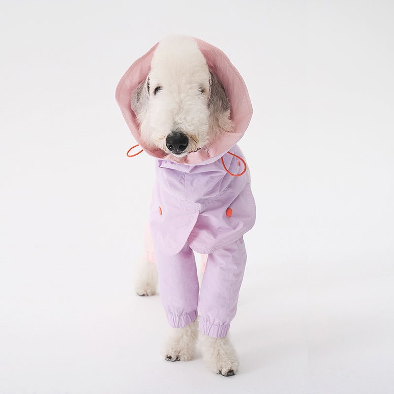 Colorful Raincoat Bedlington Dog Clothes - PIKAPIKA