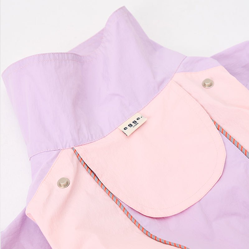 Colorful Raincoat Bedlington Dog Clothes - PIKAPIKA