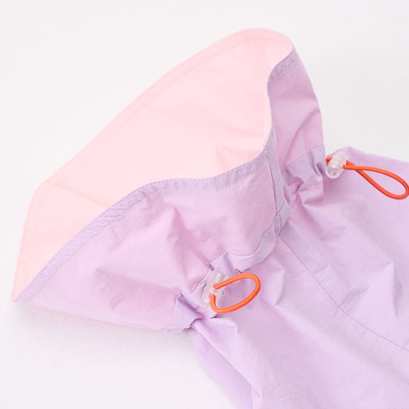 Colorful Raincoat Bedlington Dog Clothes - PIKAPIKA