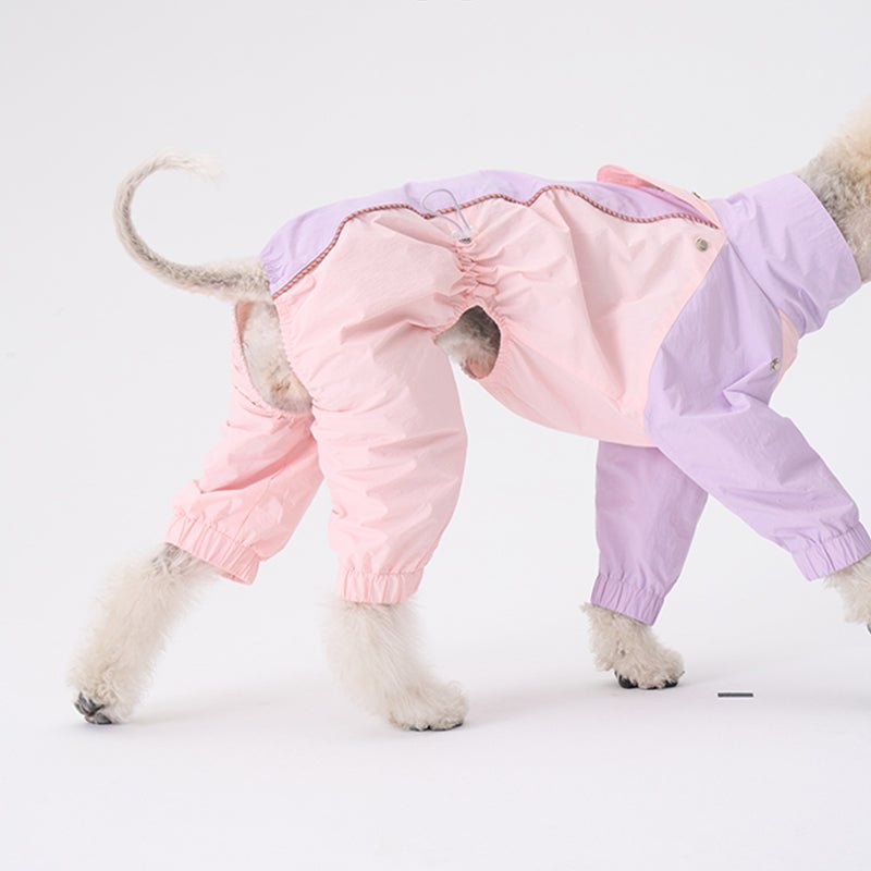 Colorful Raincoat Bedlington Dog Clothes - PIKAPIKA
