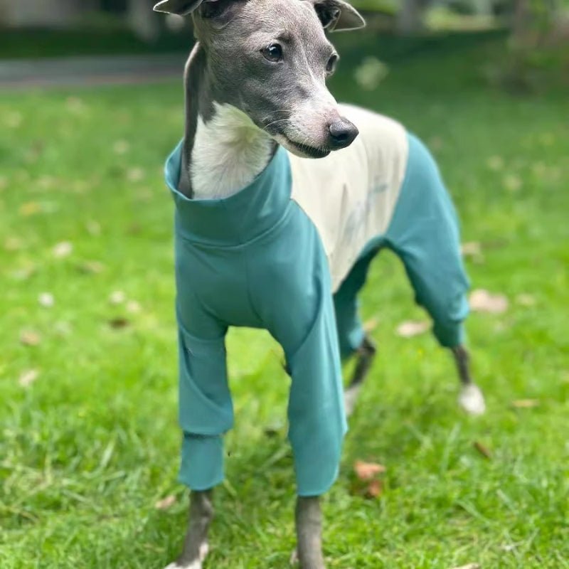 Cool Thin Onesies, Italian Greyhound Whippet Dog Quick - drying Clothes - PIKAPIKA