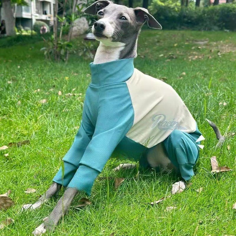 Cool Thin Onesies, Italian Greyhound Whippet Dog Quick - drying Clothes - PIKAPIKA