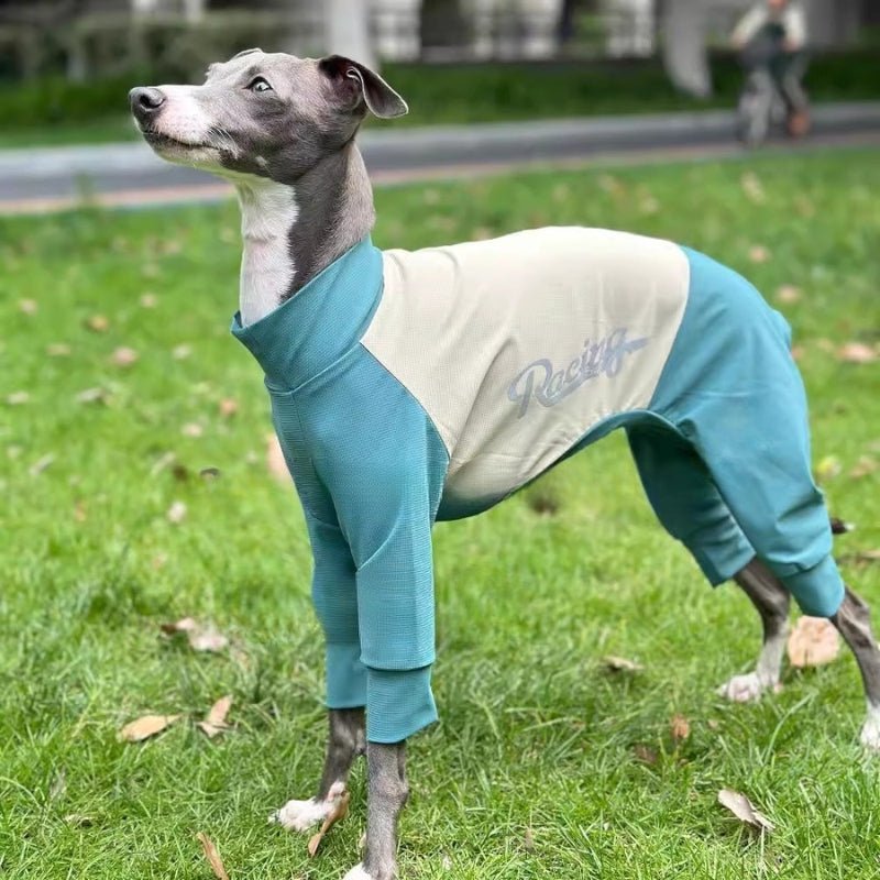 Cool Thin Onesies, Italian Greyhound Whippet Dog Quick - drying Clothes - PIKAPIKA
